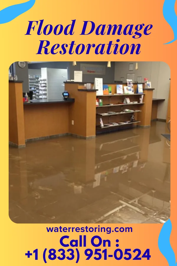 Flood Damage Restoration in Dumas, AR